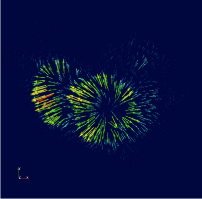 Dense 3D motion vector field estimated from cardiac MRI by a DFKI registration model.
